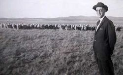 Paul Linebarger on a sheep ranch