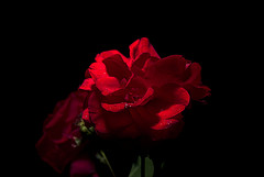 http://www.flickr.com/photos/emsi9500/2744047759/