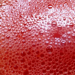 Easy Sparkling Red Punch