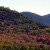 Mountainside with Foliage Mountainside with Foliage