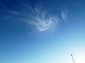 Photos of Blue