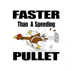 Faster Than A Speeding Pullet