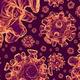 Flu virus. They have continued great potential to mutate.      Credit: ww1.1c.ac.uk