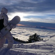 timmer517 profile image