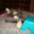 Koko, Jimi, Lily, and Rue Koko, Jimi, Lily, and Rue