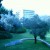Weizmann Institute from Charles Clore International House Weizmann Institute from Charles Clore International House
