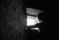 The Importance of Light and Shadow in Black and White Photography