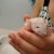 Baby Loki after a bath Baby Loki after a bath