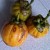 Fresh Gelugor fruits. Fresh Gelugor fruits.
