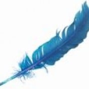 Feather LM profile image
