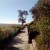 The walking path winds north along the beach to the next beach along, which is an off-leash dog-friendly beach The walking path winds north along the beach to the next beach along, which is an off-leash dog-friendly beach