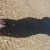 There is no feeling quite like the sand sifting beneath your toes as the water ripples over your feet There is no feeling quite like the sand sifting beneath your toes as the water ripples over your feet