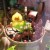 A larger assortment of hollow chocolates in a basket. A larger assortment of hollow chocolates in a basket.