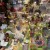 Showcases filled with small Gifts and Presents. Showcases filled with small Gifts and Presents.