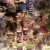 All shops are decorating their showcases with easter gifts and presents. All shops are decorating their showcases with easter gifts and presents.