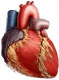 How to Lower Your Cholesterol and Triglycerides Without 'Lipitor' or...
