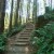 In additions to lakes, rivers and beaches, those that appreciate the outdoors can find nearby hiking trails throughout the State. In additions to lakes, rivers and beaches, those that appreciate the outdoors can find nearby hiking trails throughout the State.