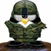 betamech11 profile image