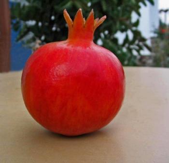 Pomegranate