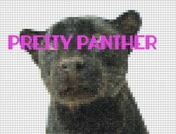 Pretty Panther