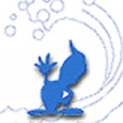 pacific101 profile image