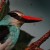 Fisher Bird Fisher Bird