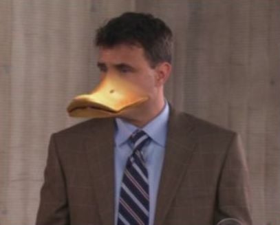 Don The Duck