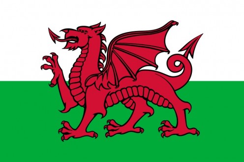 The Striking Welsh Flag