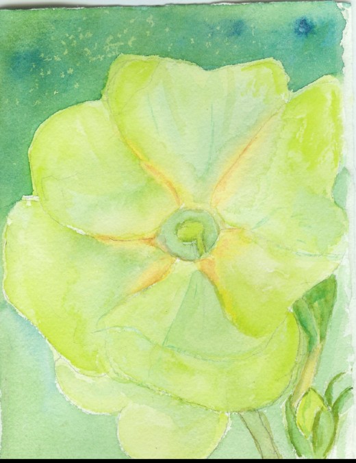 Primrose Mother's Day Card