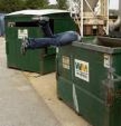 America's Answer to the Economic Collapse:  Dumpster Diving?