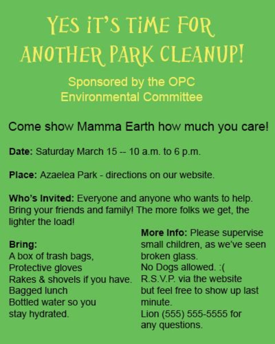 Park  Cleanup Poster
