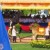 The royal oxen at the Ploughing Ceremony in Cambodia The royal oxen at the Ploughing Ceremony in Cambodia