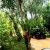 The Safari Jeep in Sigiriya The Safari Jeep in Sigiriya