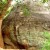 The entrance of the cave used by the monks in the ancient times The entrance of the cave used by the monks in the ancient times