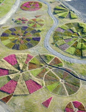 Agricultural Compositions by Jean Paul Ganem.