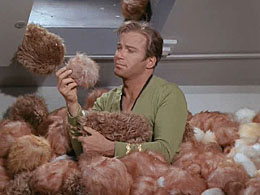 Kirk with 1,771,561 Tribbles