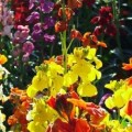 Spring Cleaning Checklist