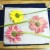 I use two pieces of tissue paper on either side of the flowers. This soaks up plant material and keeps felt fuzzies from attaching to the flowers. Since I'm pressing gerbera daisies and they're pretty thick, I've placed them face down. Top this lay I use two pieces of tissue paper on either side of the flowers. This soaks up plant material and keeps felt fuzzies from attaching to the flowers. Since I'm pressing gerbera daisies and they're pretty thick, I've placed them face down. Top this lay