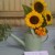 Theme - Song Title - You Are The Sunshine of my Life Theme - Song Title - You Are The Sunshine of my Life
