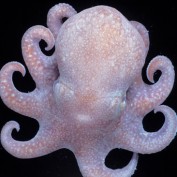 coolhubber profile image