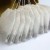 tea bags tea bags