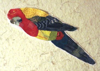 basic design for one rosella bird