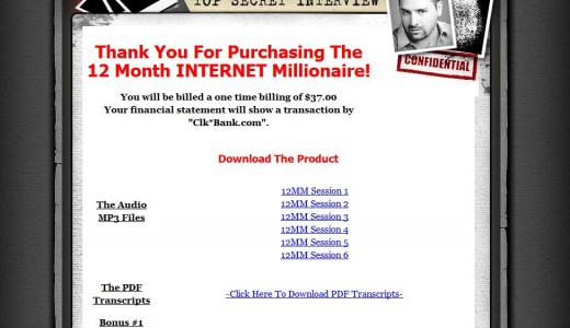 12 month millionaire book