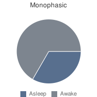 Monophasic Sleep