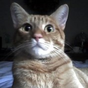 Taters Mom profile image