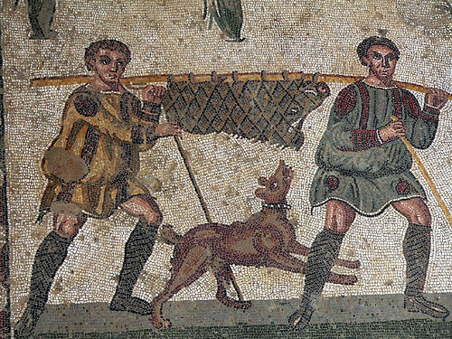 Roman Dog