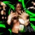 Triple H Triple H