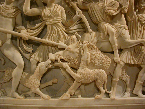 Boar-Baiting