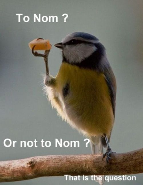 To Nom, or not to Nom? That is the question