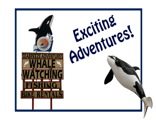 Whale Watching Tours Richmond British Columbia
